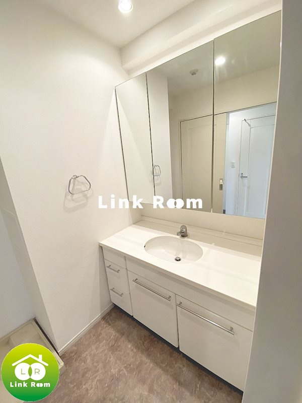 デュオ・スカーラ東陽町の洗面所