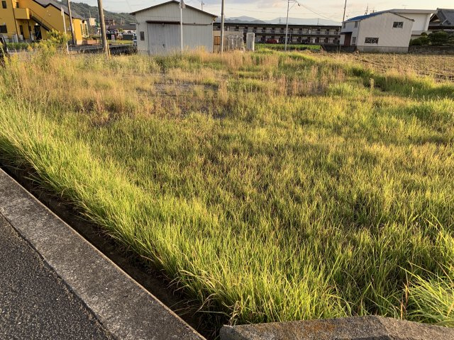 紀の川市畑野上　売土地の外観
