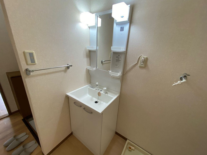 レジデンス･タケカタの洗面所