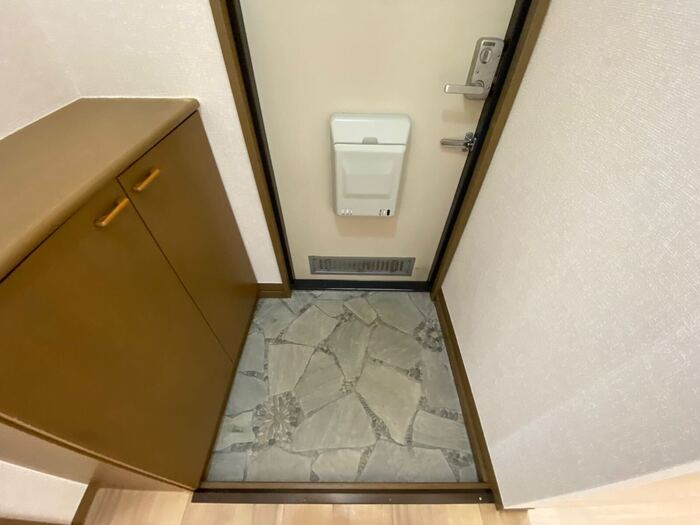 レジデンス･タケカタの玄関