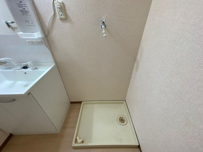 レジデンス･タケカタの洗面所