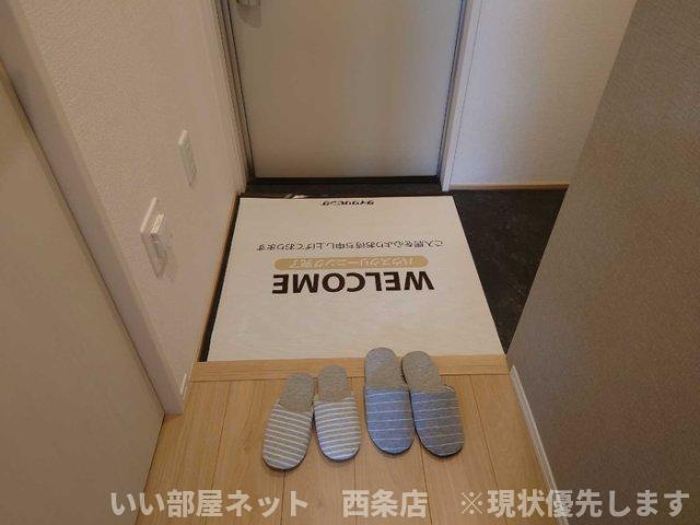 メゾン　ドーミーの玄関