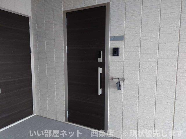 メゾン　ドーミーの玄関