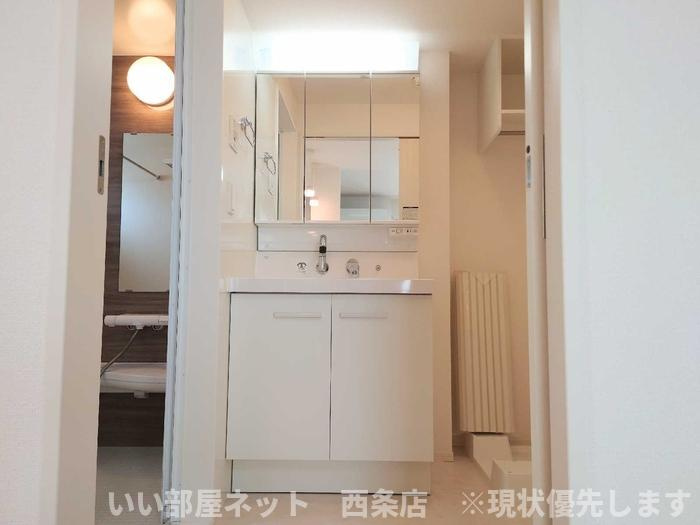 メゾン　ドーミーの洗面所