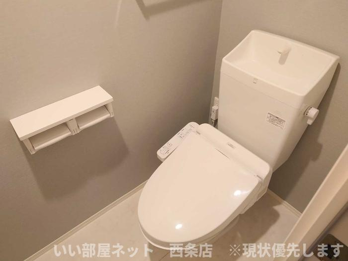 メゾン　ドーミーのトイレ