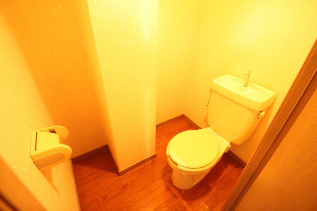 CTビュー小阪　(近大　一人暮らし)のトイレ