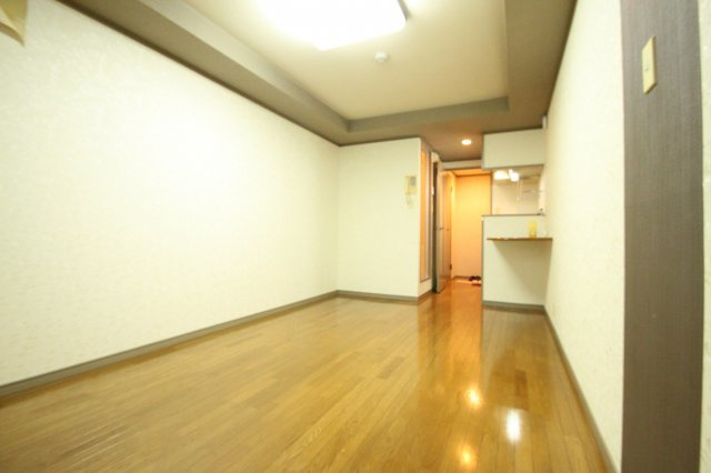 CTビュー小阪　(近大　一人暮らし)の内装