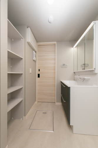 シャーメゾン　リュエル八戸ノ里の洗面所