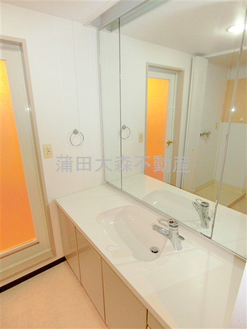 パークハウス多摩川北４番館の洗面所|3面鏡の独立洗面台！