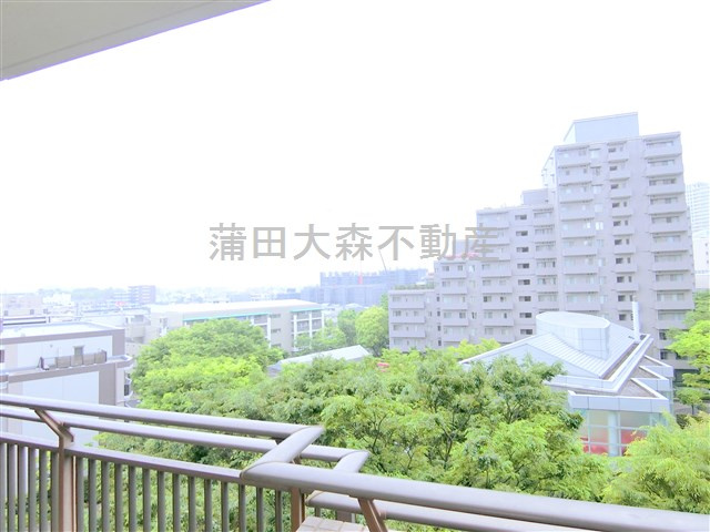 パークハウス多摩川北４番館の展望