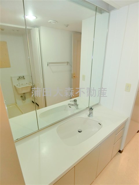 パークハウス多摩川北４番館の洗面所