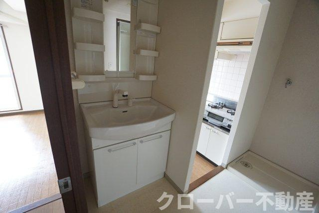 カドーロ壱番館の洗面所
