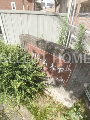  | ドリーム大平