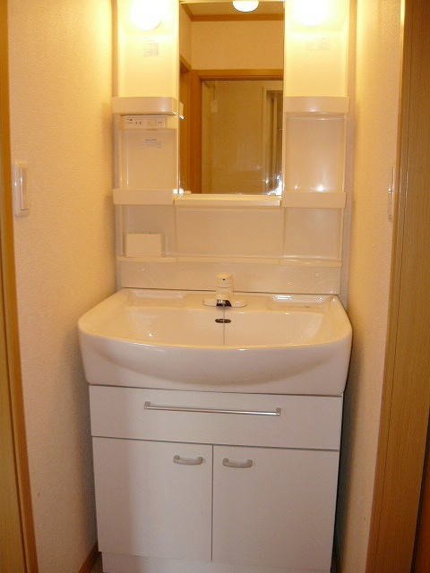 メゾン・ド・エルⅡの洗面所