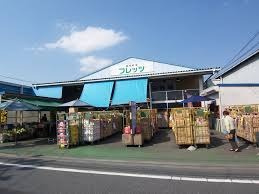 レジデンス光のその他|フレッツ