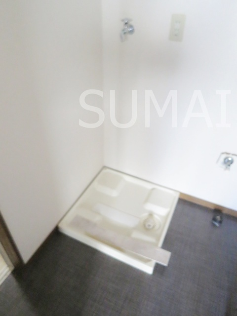 ヴェルドミールのその他|室内洗濯機置き場。