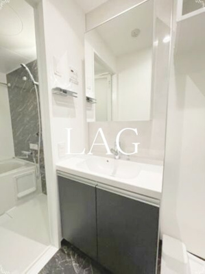 【洗面所】 | スカイコートヴィスタ隅田公園 | 独立洗面台です。