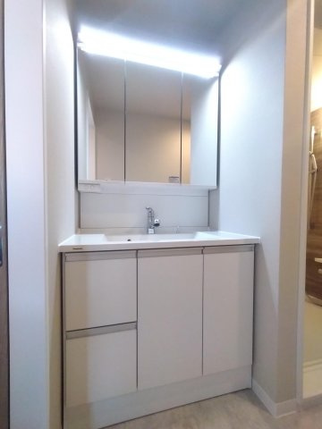 グラン・ドムール北野田の洗面所