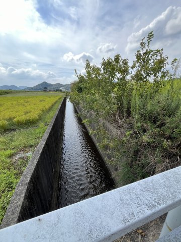 土地　溝口中の周辺