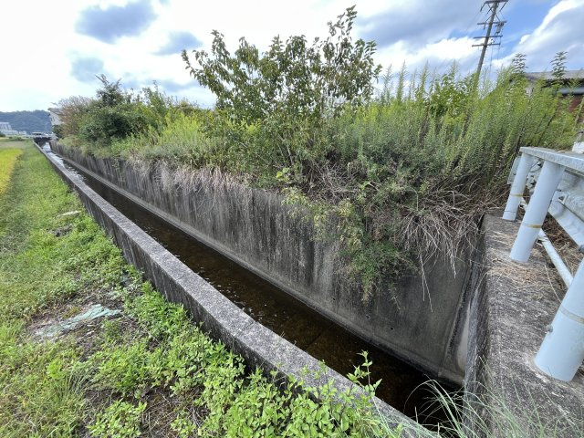 土地　溝口中の周辺