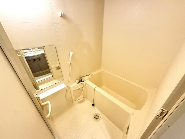 Sun Viale Asukaの浴室