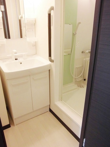 クレイノクレールオオクボの洗面所