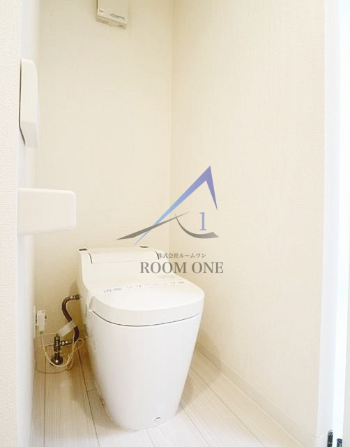 ヴィシェフラットのトイレ|トイレです。