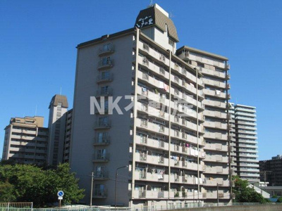 【外観】 | シャトー八戸ノ里（八戸ノ里賃貸） | 外観もきれいです