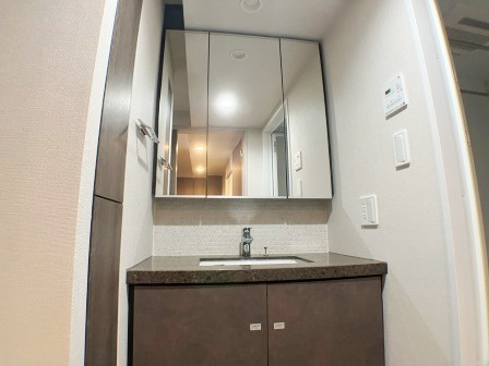 ザ・パークハビオ滝野川の洗面所