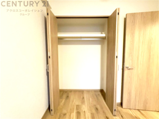 衣類やアクセサリー、小物類の収納が便利で整理整頓がしやすく、部屋の美観を保ちつつ、スペースを最大限に活用できます。衣服のしわやダメージを防ぎ、長持ちさせることができます。