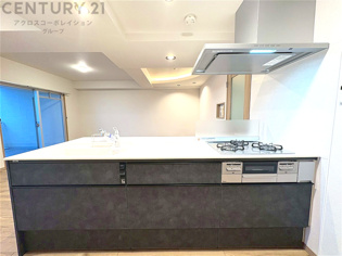 シンプルなデザインと使いやすさを兼ね備えた対面式システムキッチンは、効率的な作業スペースを提供し、家族やゲストとのコミュニケーションを促進します。