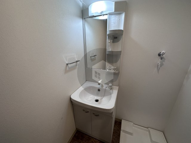 F mirai Lepusの独立洗面台