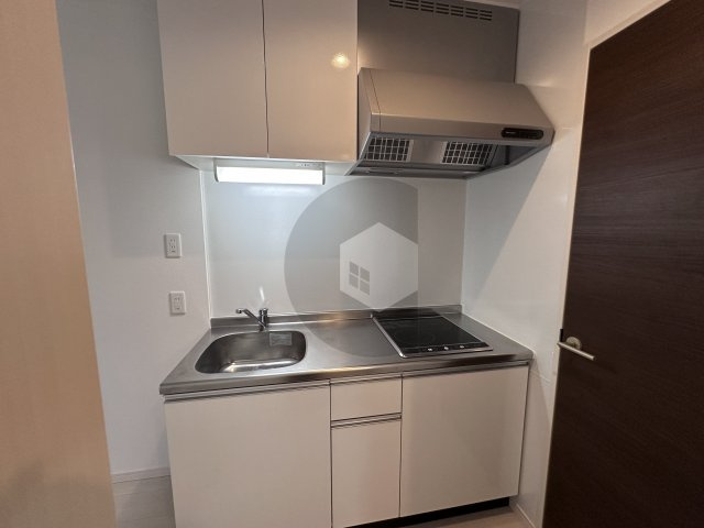 F mirai Lepusのキッチン