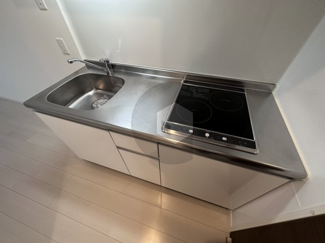 F mirai Lepusのキッチン