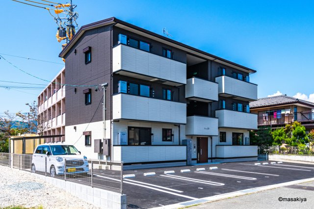 Lemon grass　(レモングラス)