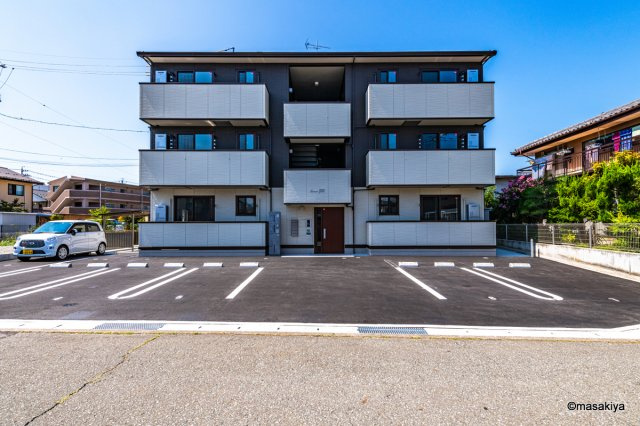 Lemon grass　(レモングラス)の外観