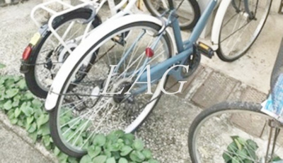 【その他共用部分】 | パッソム鵜の木 | 駐輪場です。