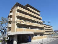 フレアコートコスモの画像