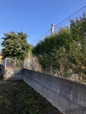 【展望】 | プラムツリー