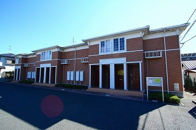 プリムローズ　Ｍ