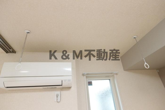 デュランタのその他
