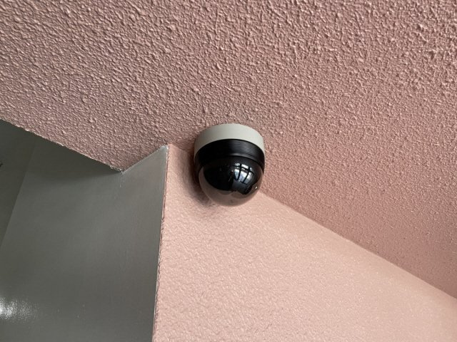 アルファコートのその他