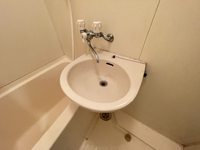 アルファコートの洗面所