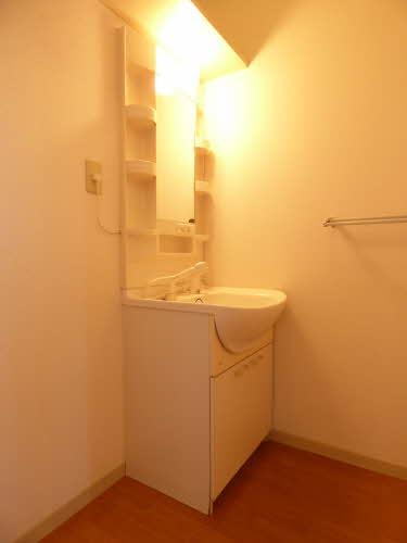 リバティー向江の洗面所