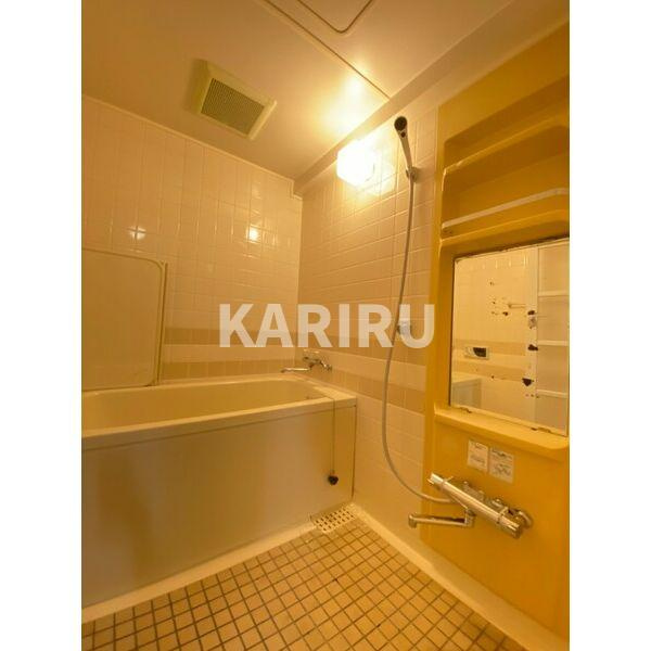 ロイヤルコート生江の浴室