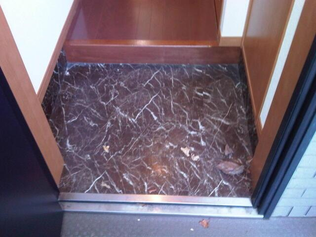 ＭＡＬＵＬＡＮＩ成城の玄関|玄関です