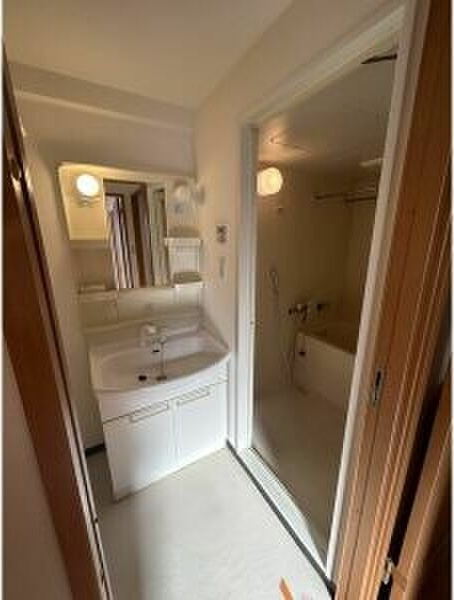 ファインコートの洗面所