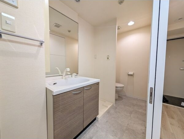 ベルドミール橘の洗面所