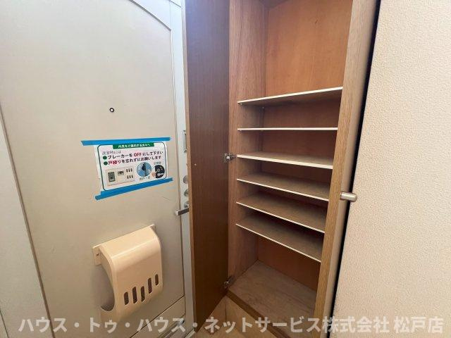 プロス・ペールAのその他