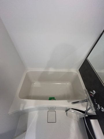 Eastern Wells（イースタン　ウェルス）の浴室